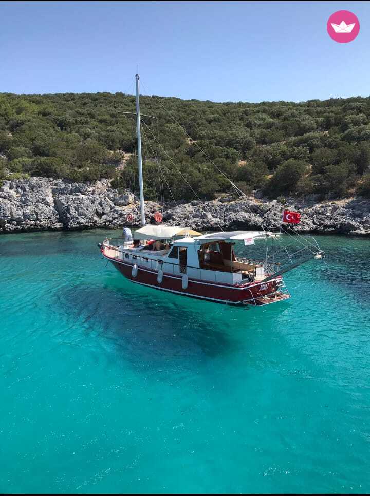 Cover of activity #2344