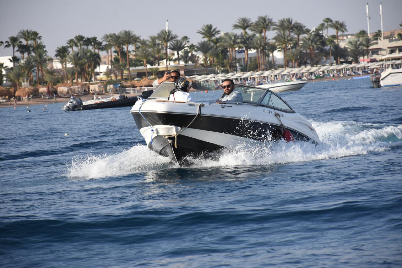 Cover of activity #8268