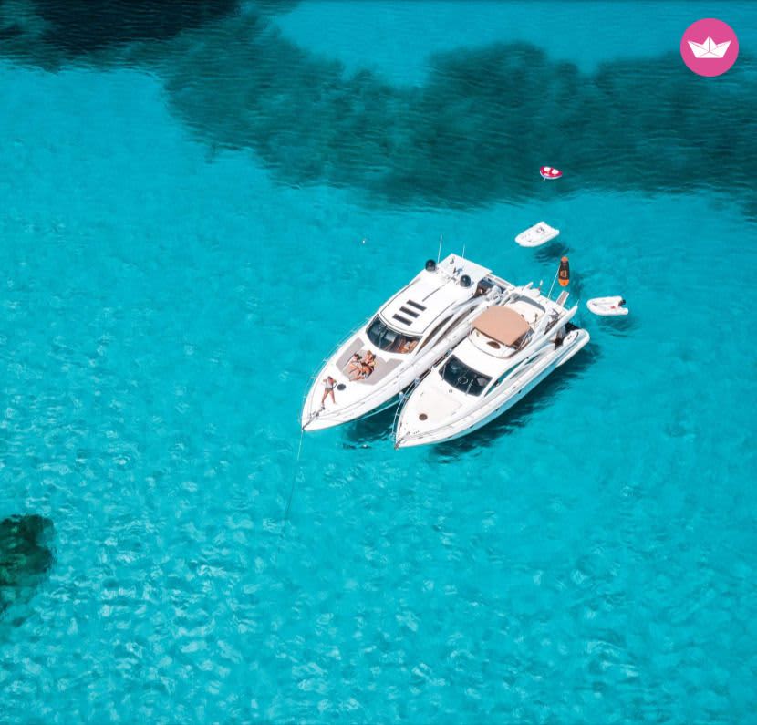 Cover of activity #19895