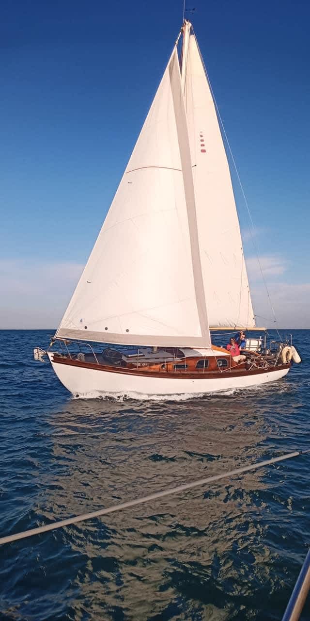 Cover of activity #26660