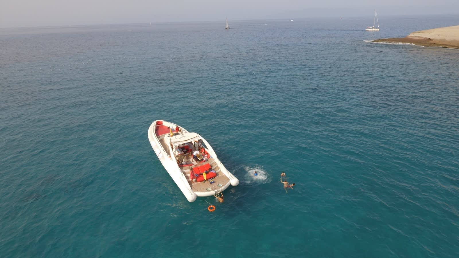 Cover of activity #26663