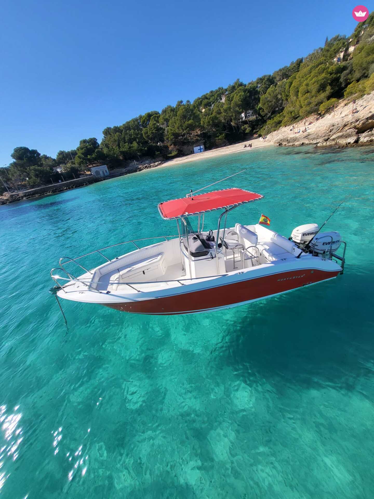 Cover of activity #6554