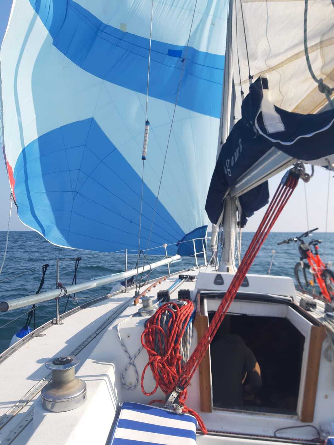 Cover of activity #28627