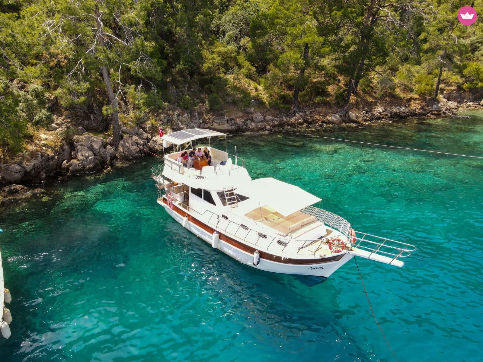 Cover of activity #3698