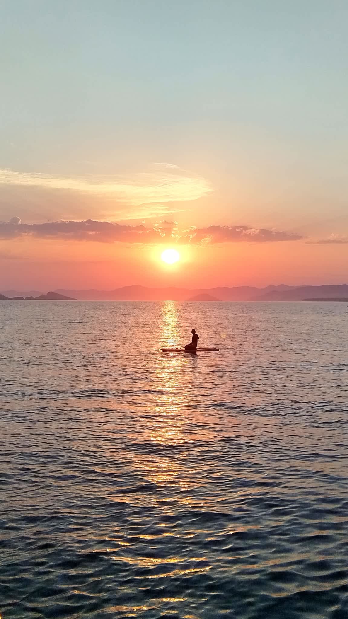 Cover of activity #3689