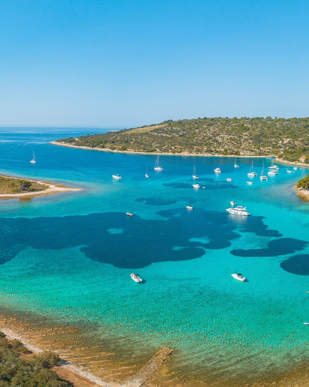 Cover of activity #17157