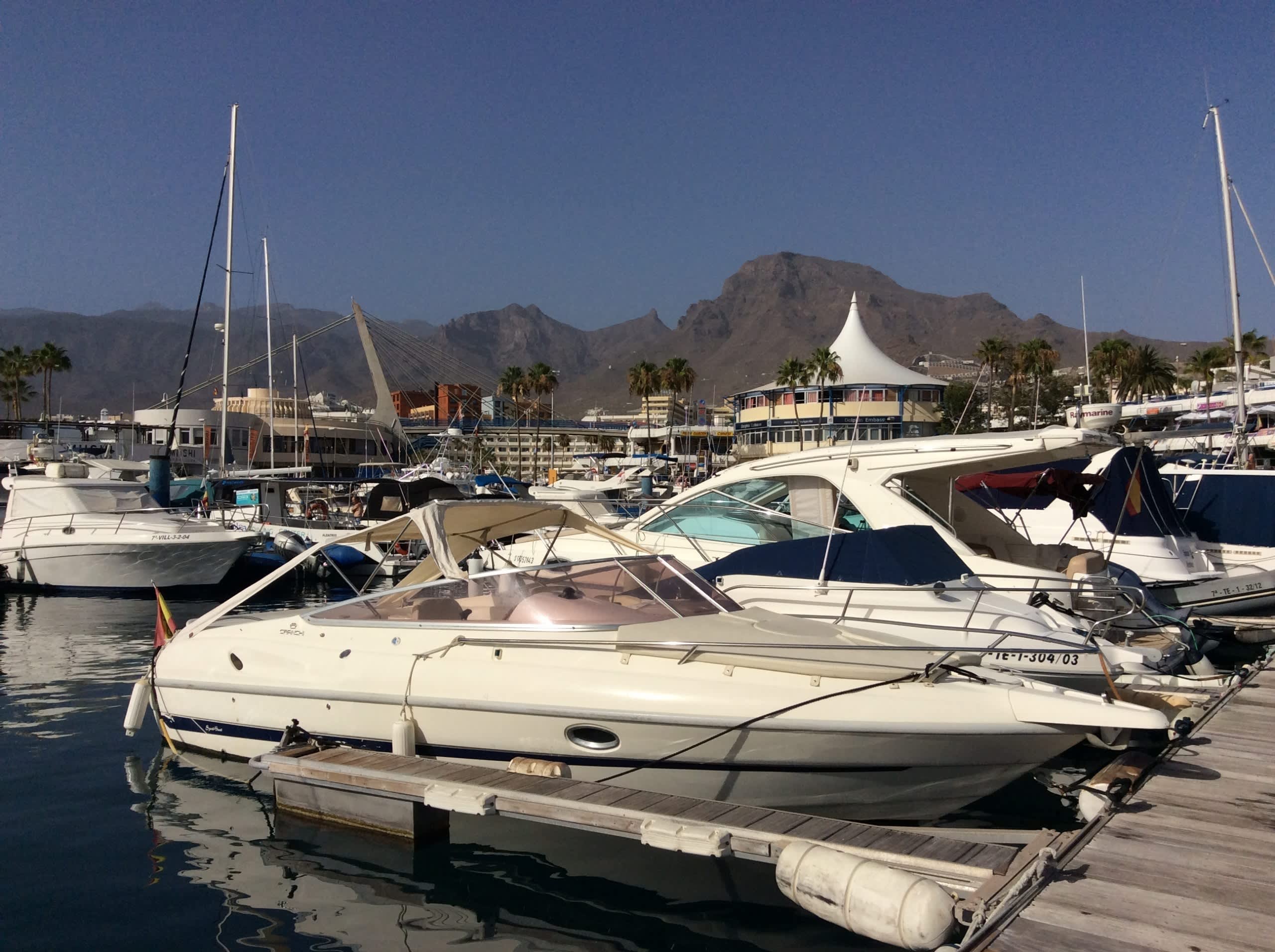 Cover of activity #22457