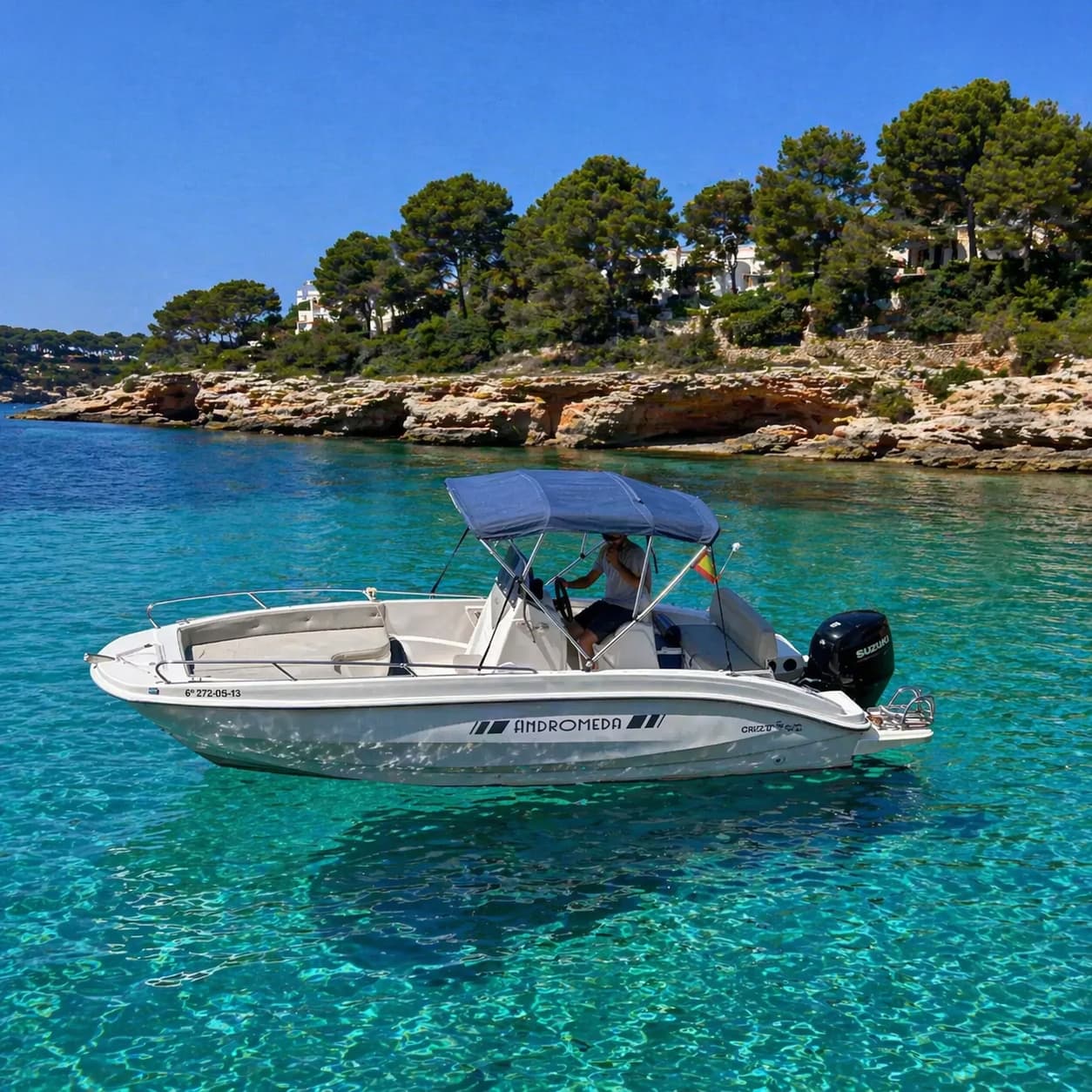 Cover of activity #29675