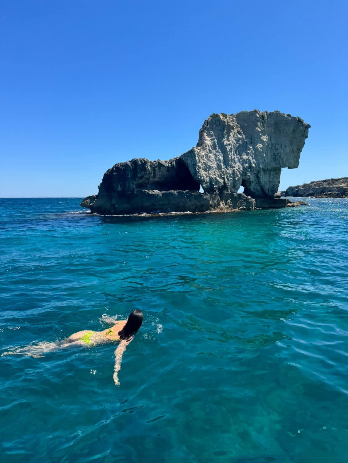 Cover of activity #27187