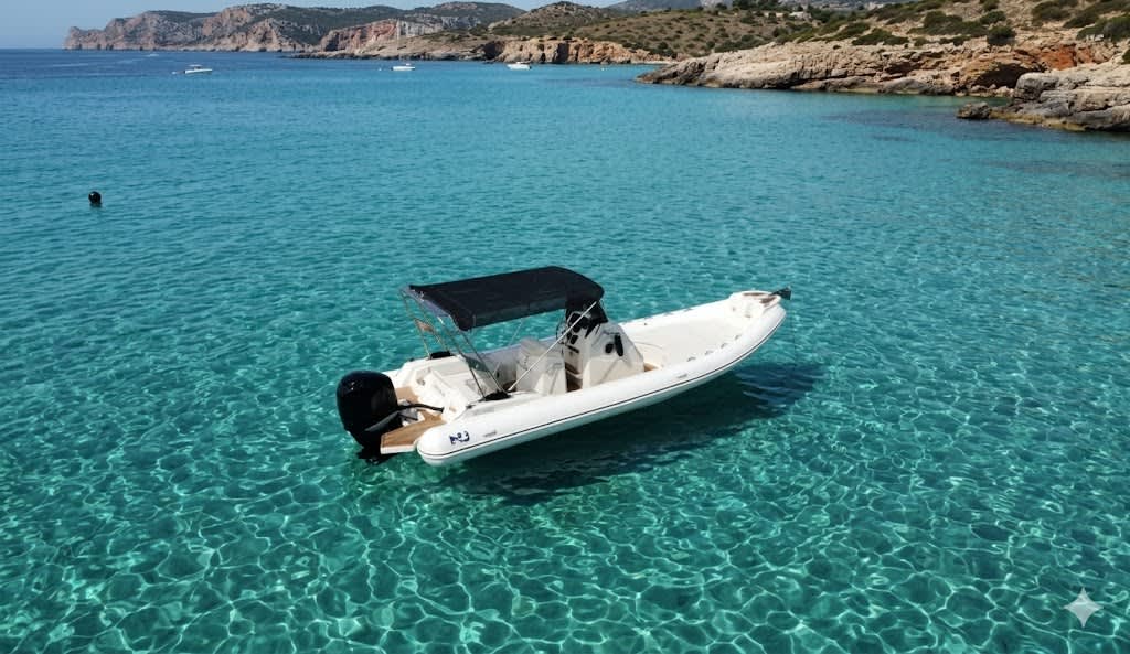 Cover of activity #27239