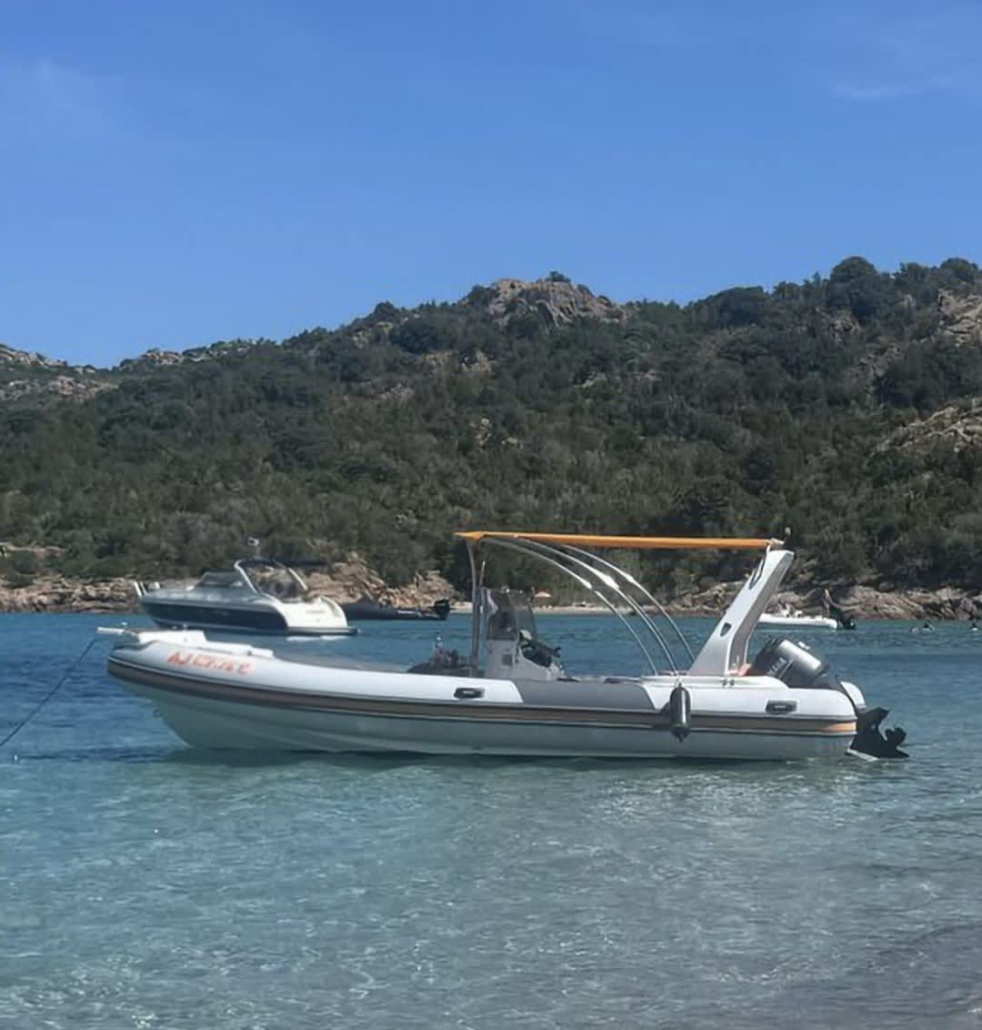 Cover of activity #24095