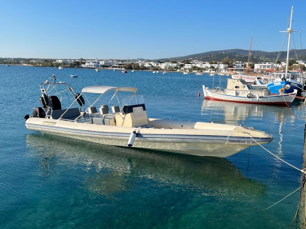 Cover of activity #28861