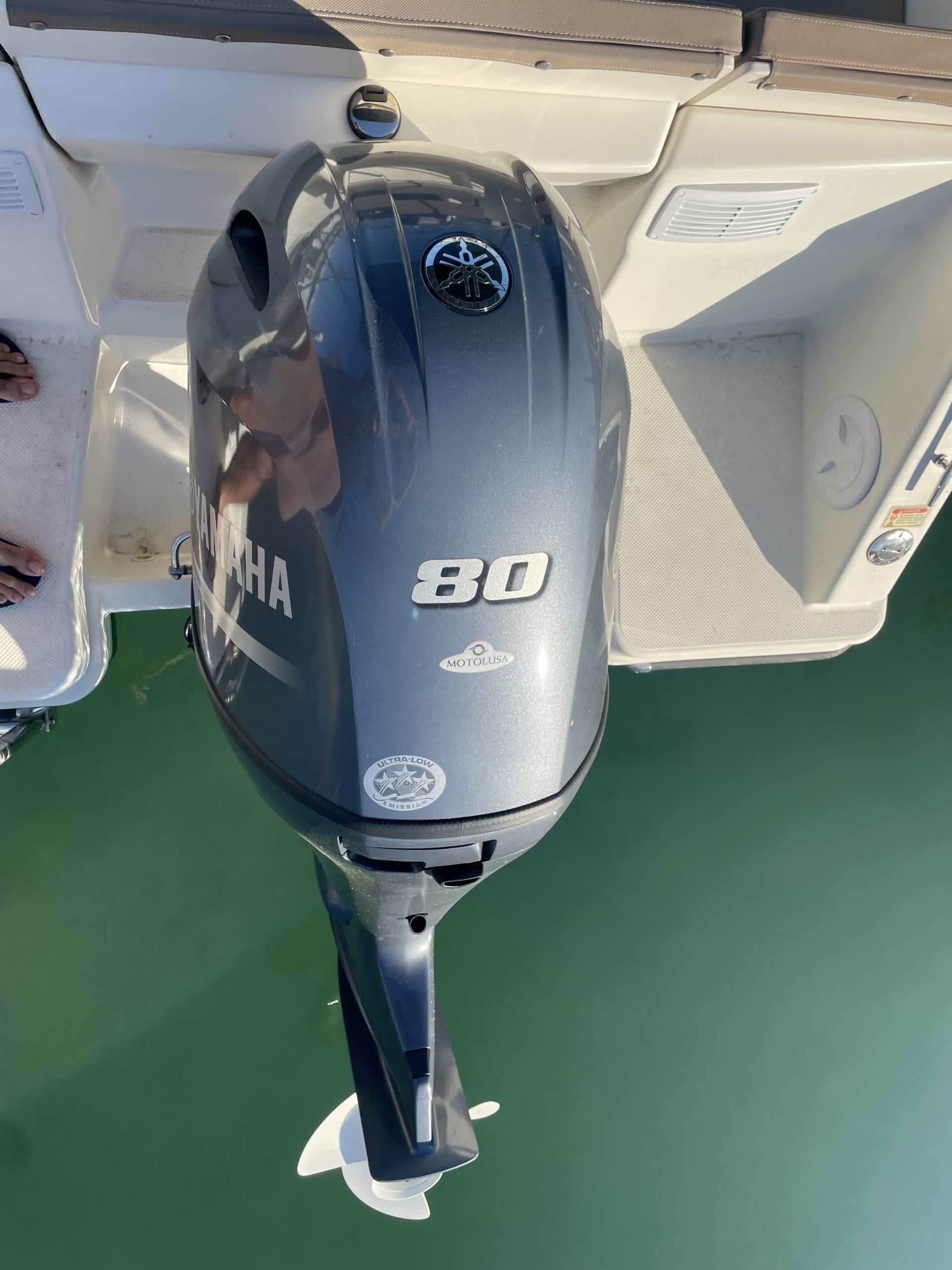 Cover of activity #28753