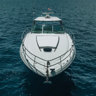 Cover of activity #28804