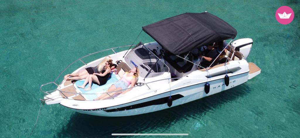 Cover of activity #7238