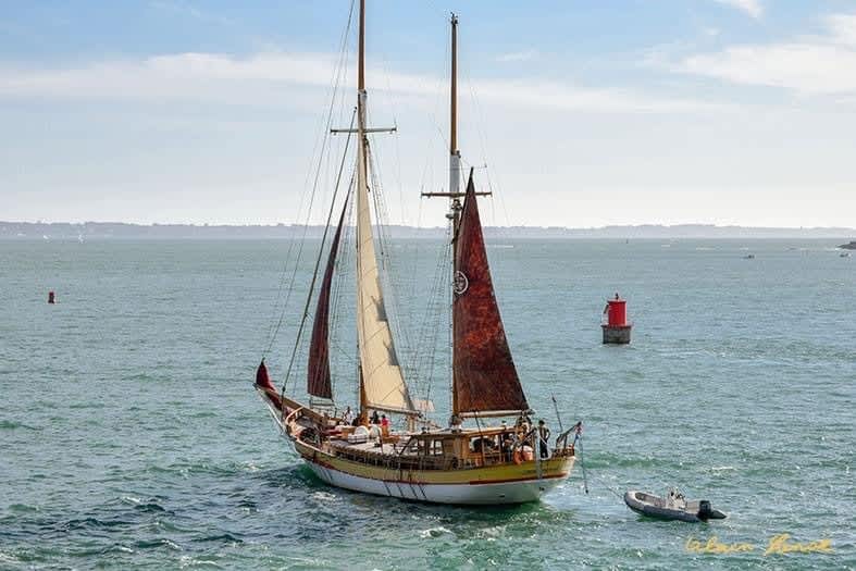 Cover of activity #23987