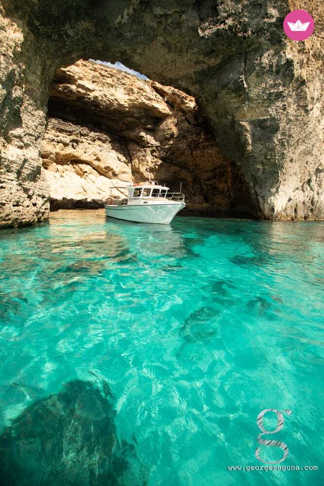 Cover of activity #8463