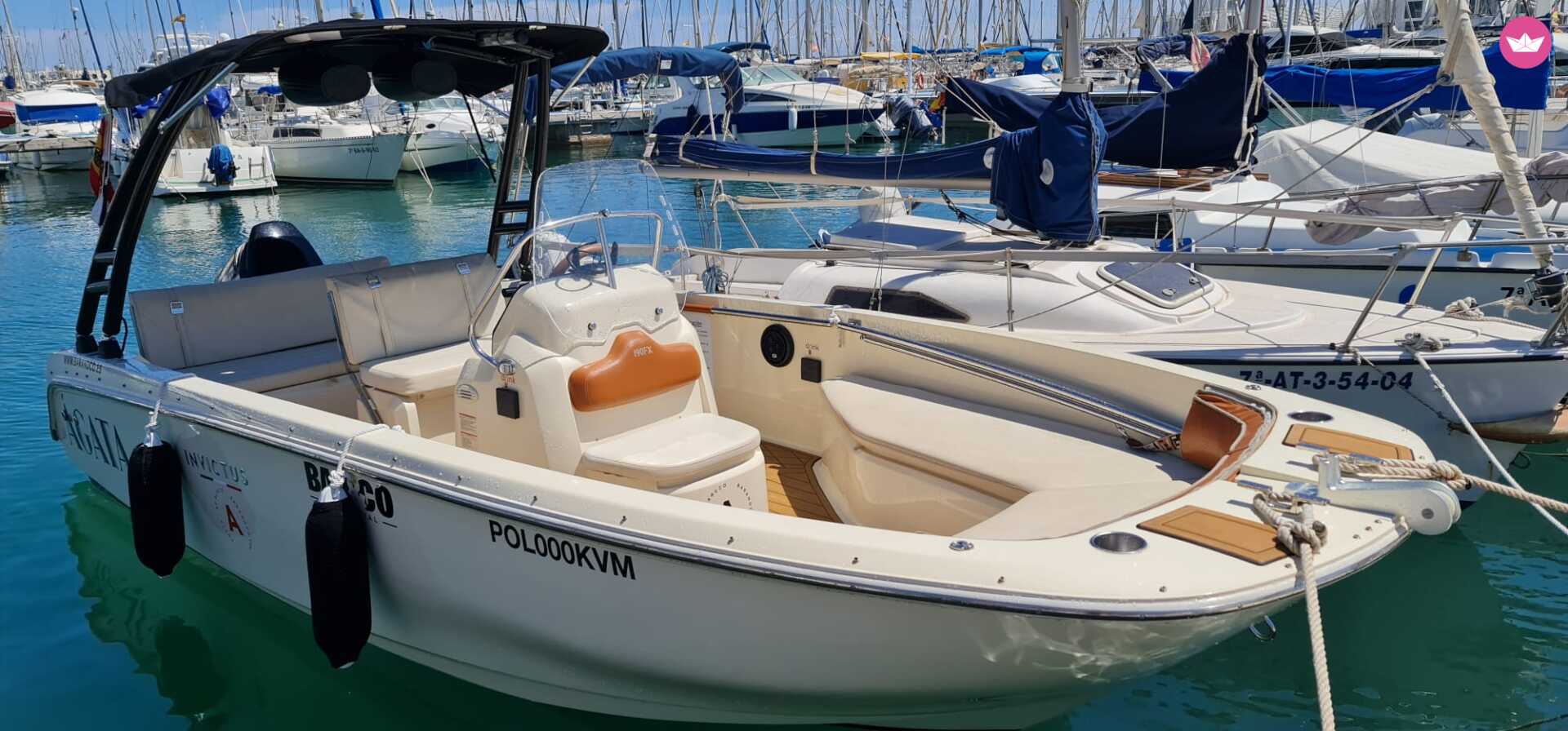 Cover of activity #19250