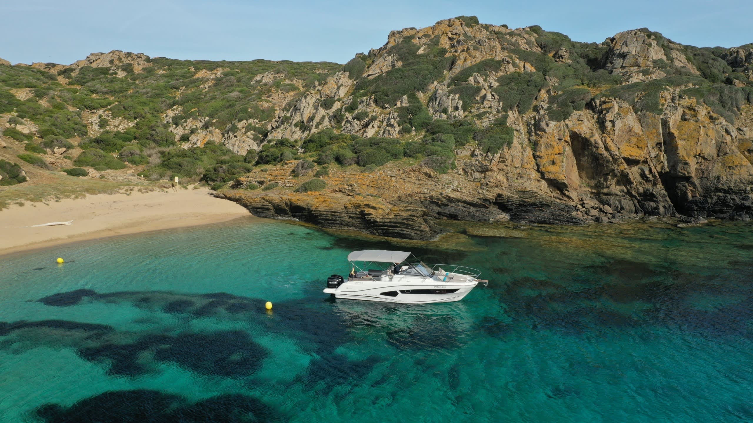 Cover of activity #18897