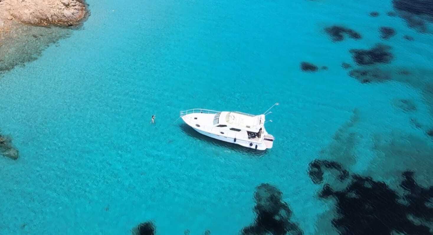 Cover of activity #24078