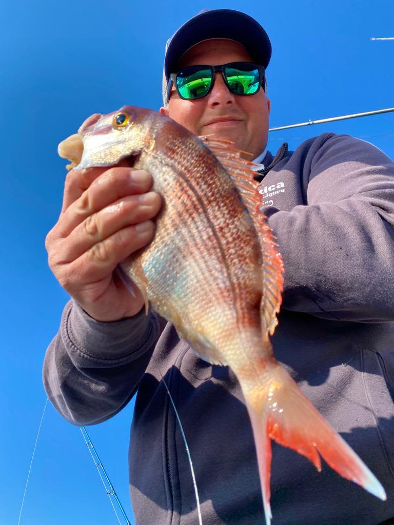 Cover of activity #28792