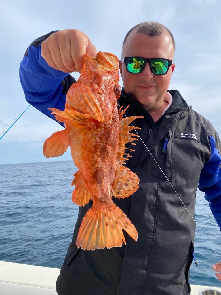 Cover of activity #28788