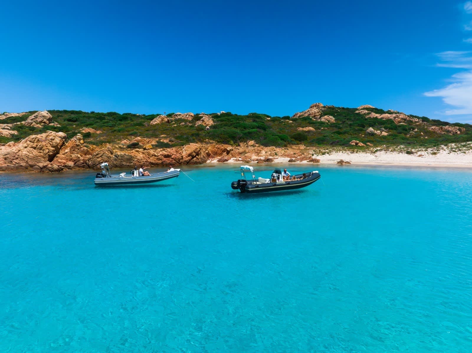 Cover of activity #23895