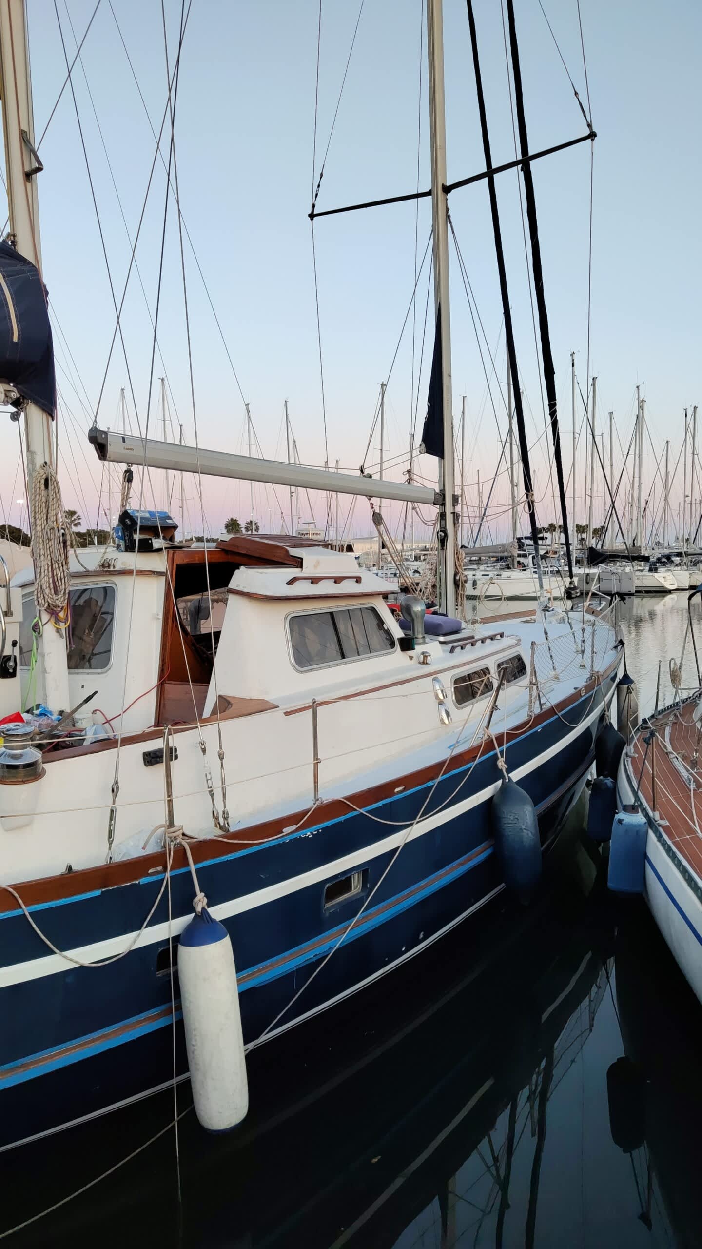 Cover of activity #24055