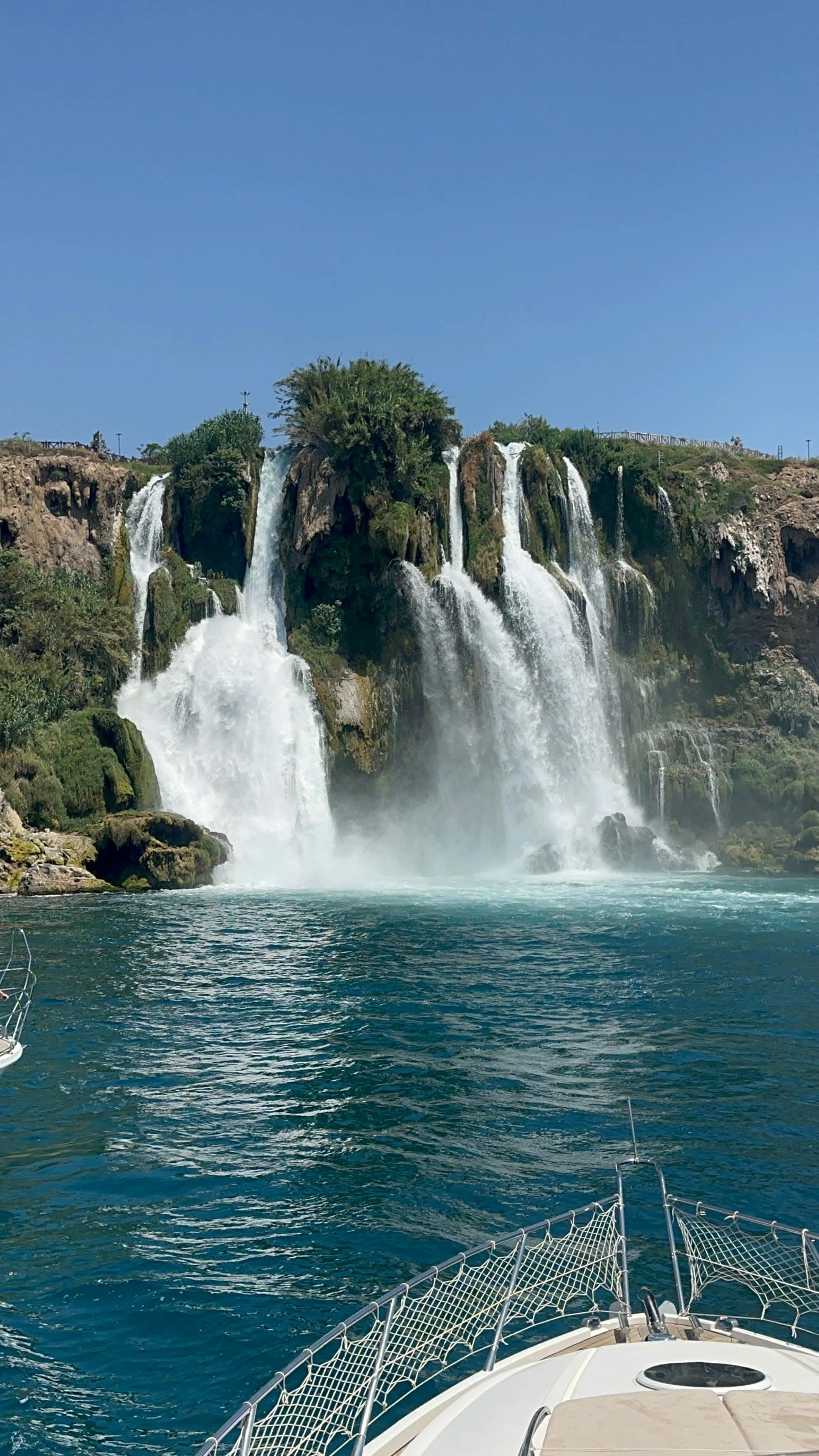 Cover of activity #4767