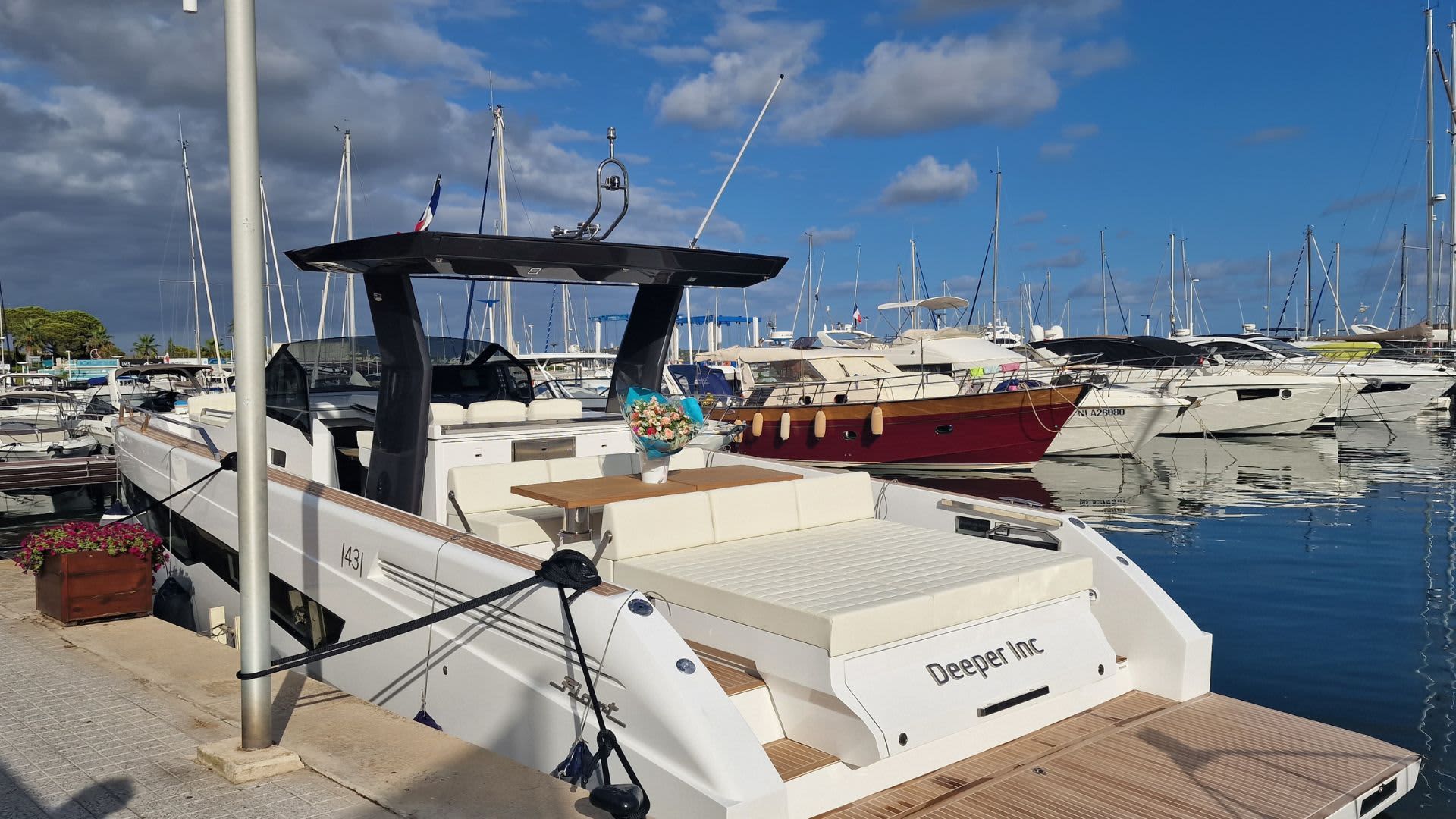 Cover of activity #13509