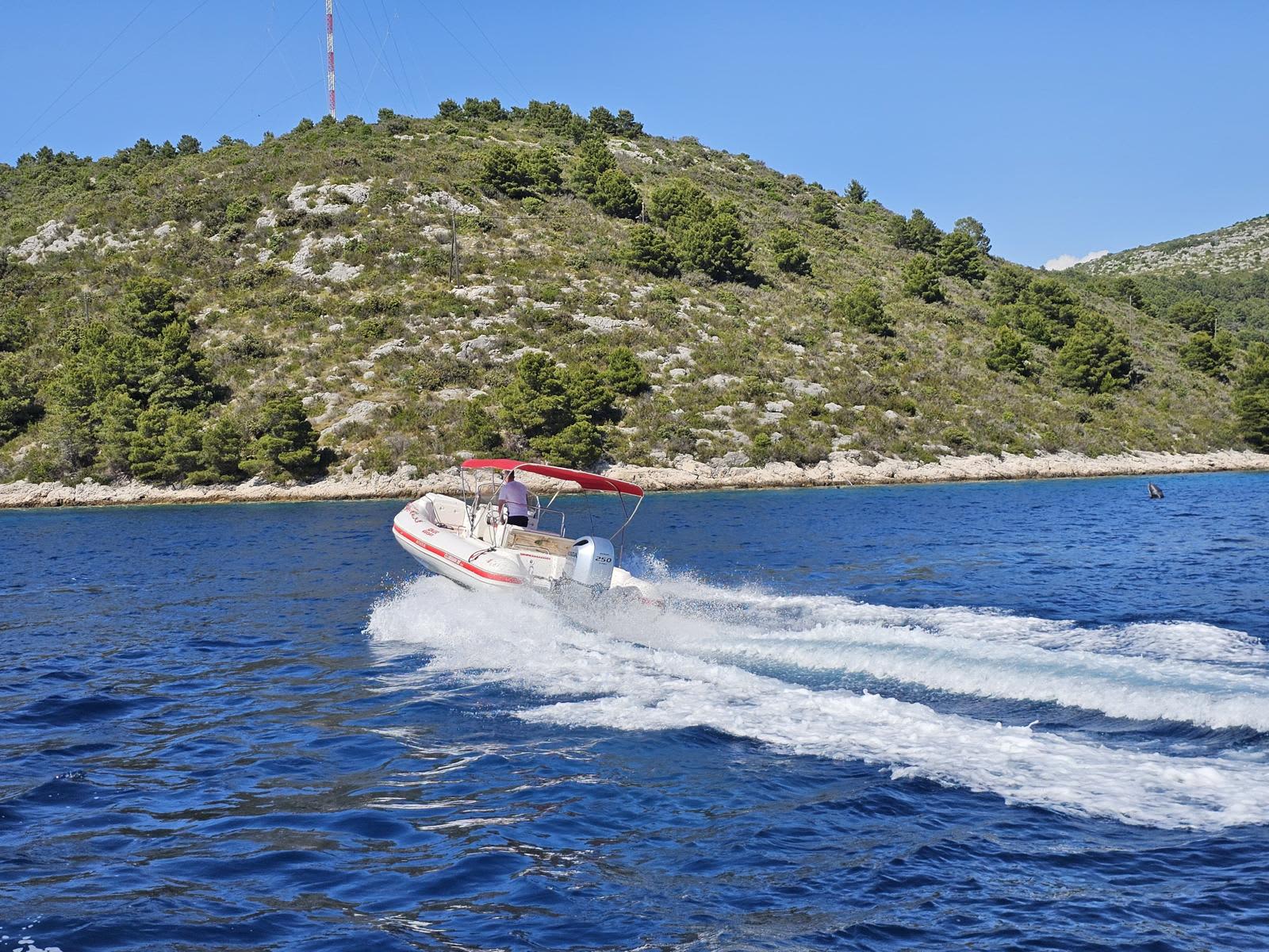 Cover of activity #4674