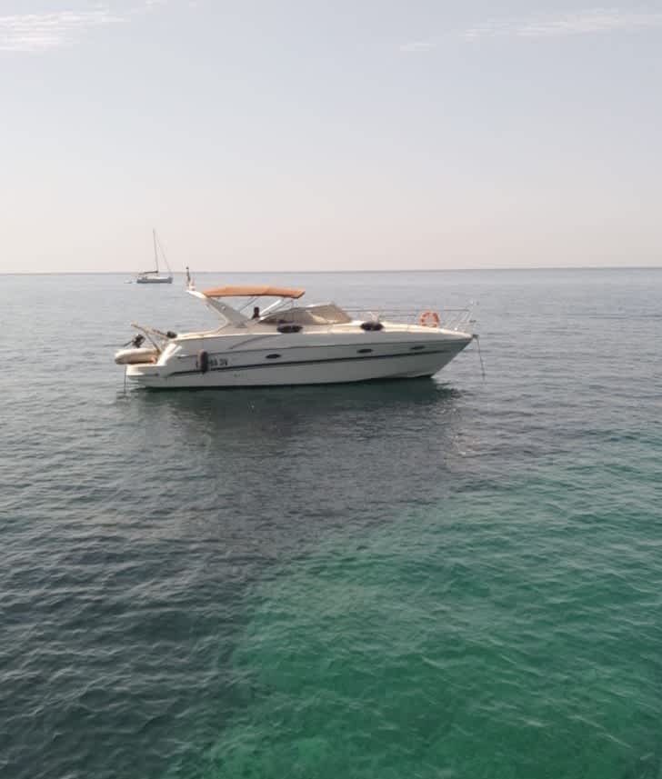 Cover of activity #28913