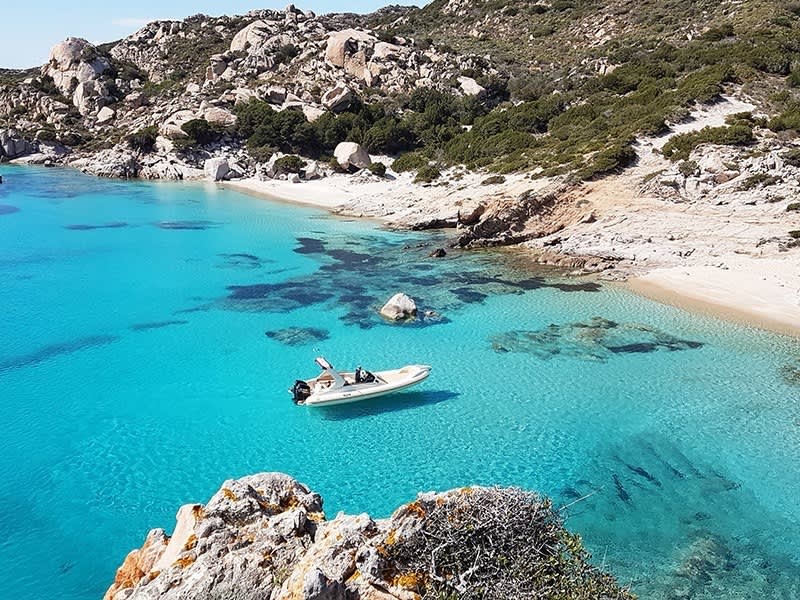 Entdecken Sie Palau: Ein sonniger Tag auf einem Motorboot
