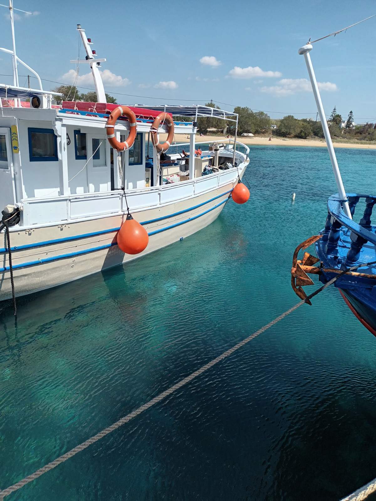 Cover of activity #24067