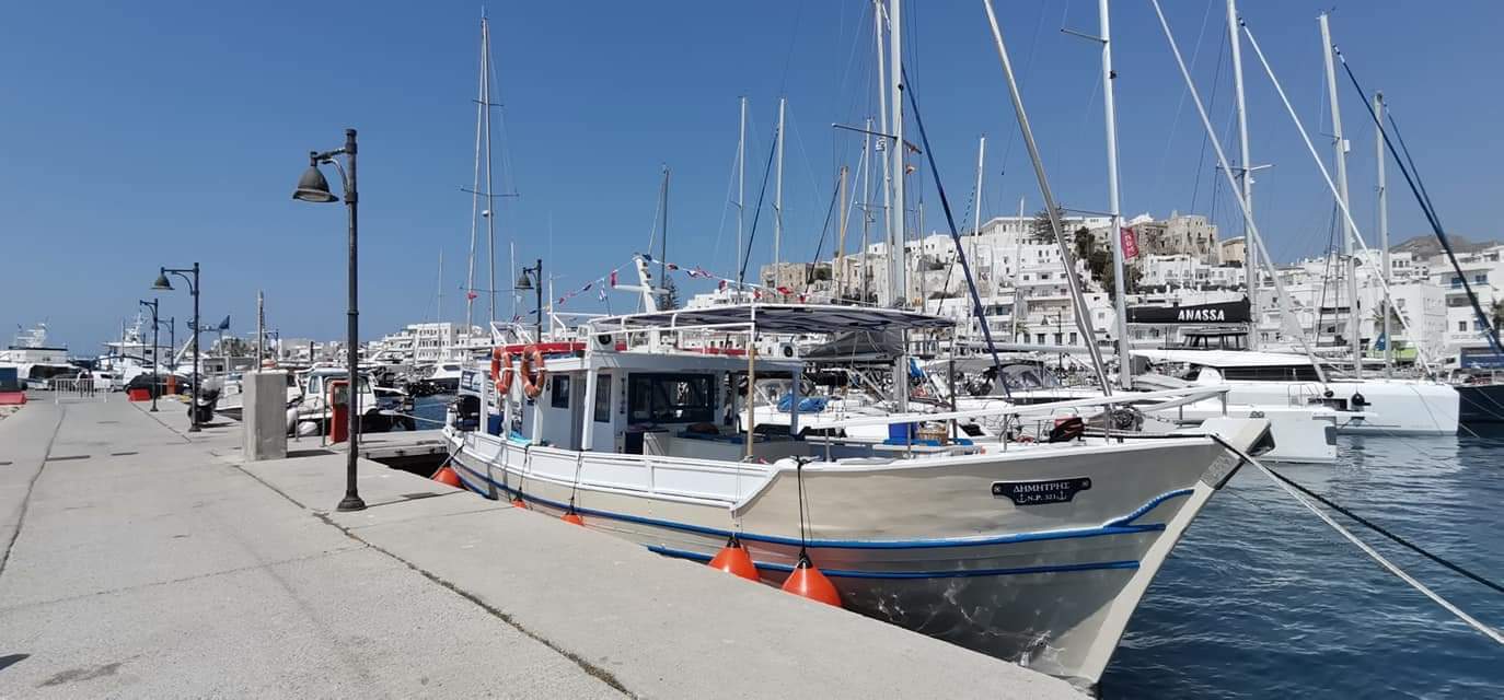 Cover of activity #24072