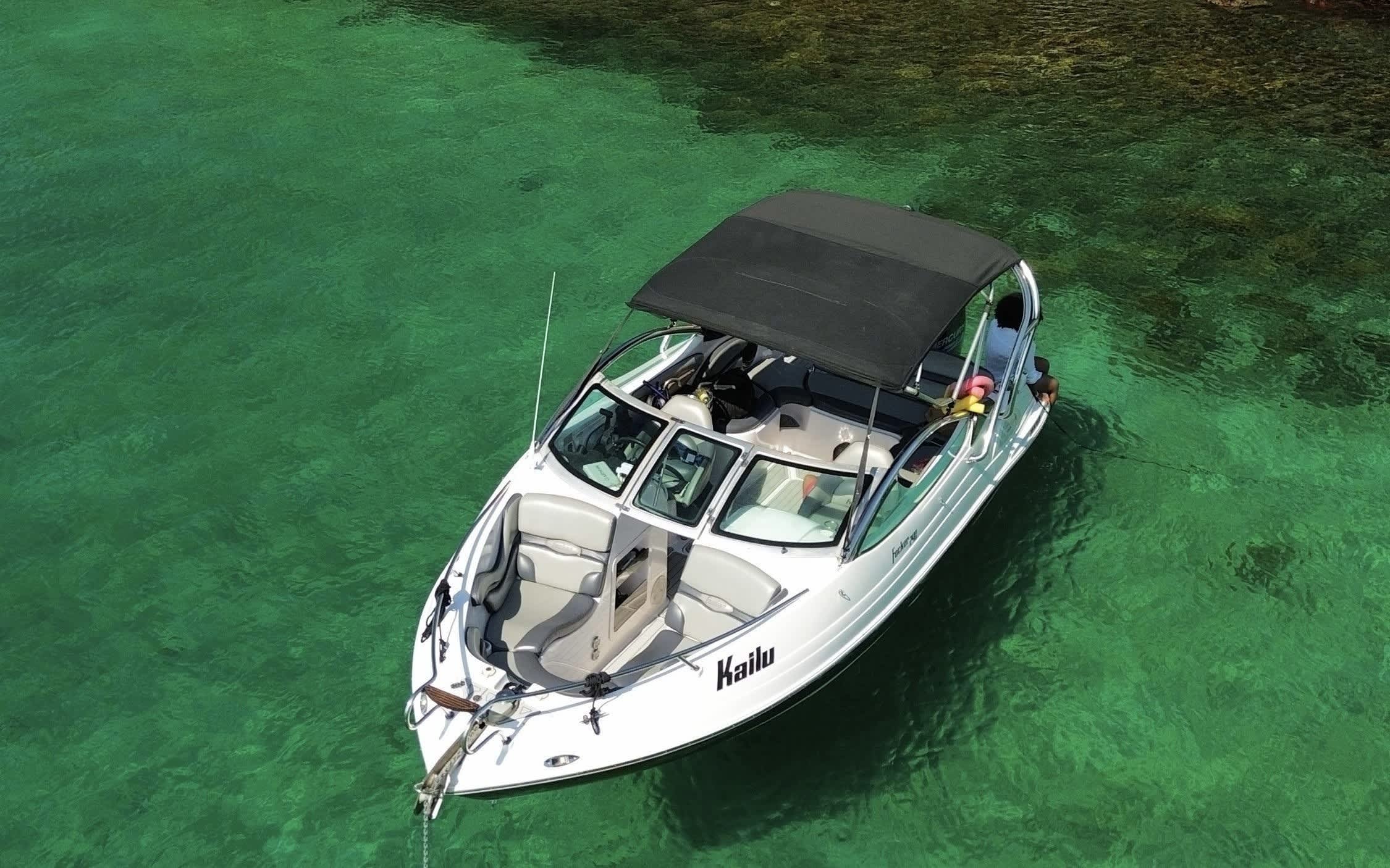 Cover of activity #24065