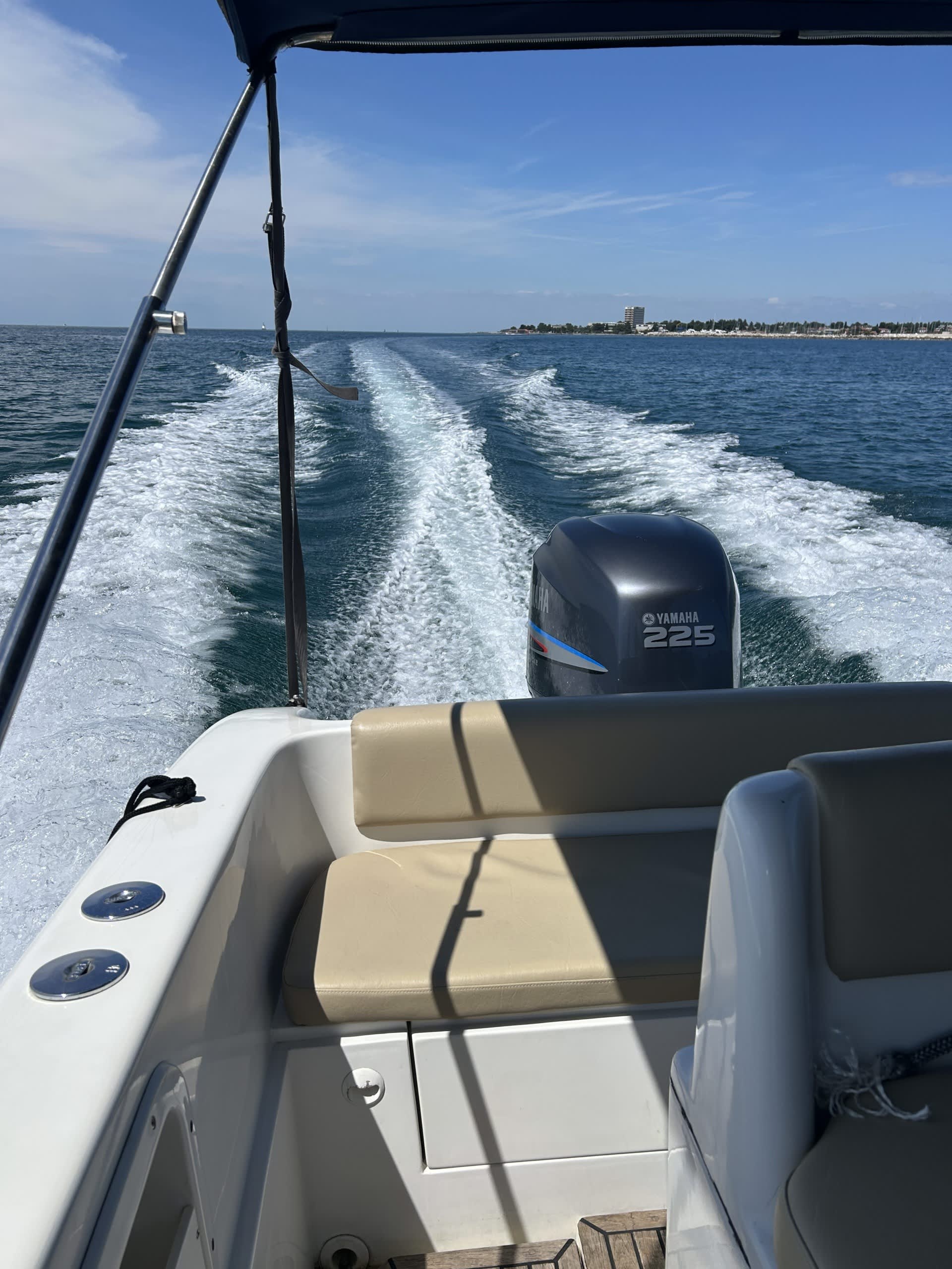 Cover of activity #28819