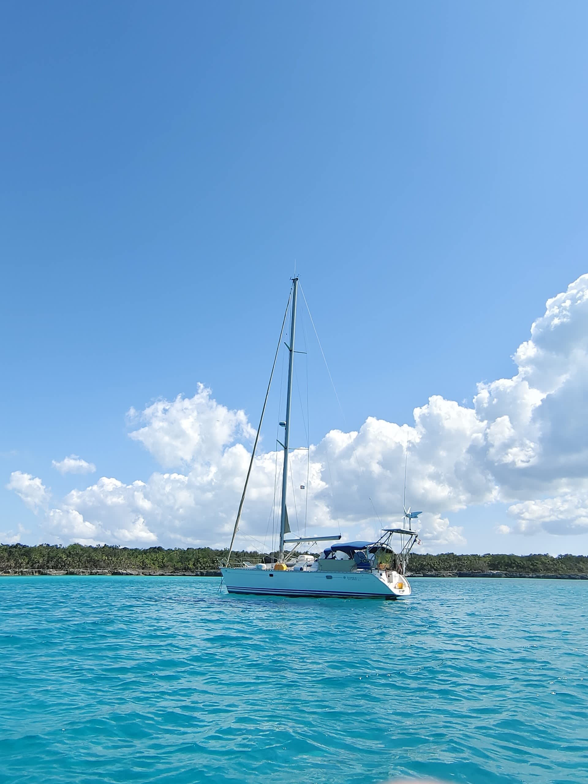 Cover of activity #24022