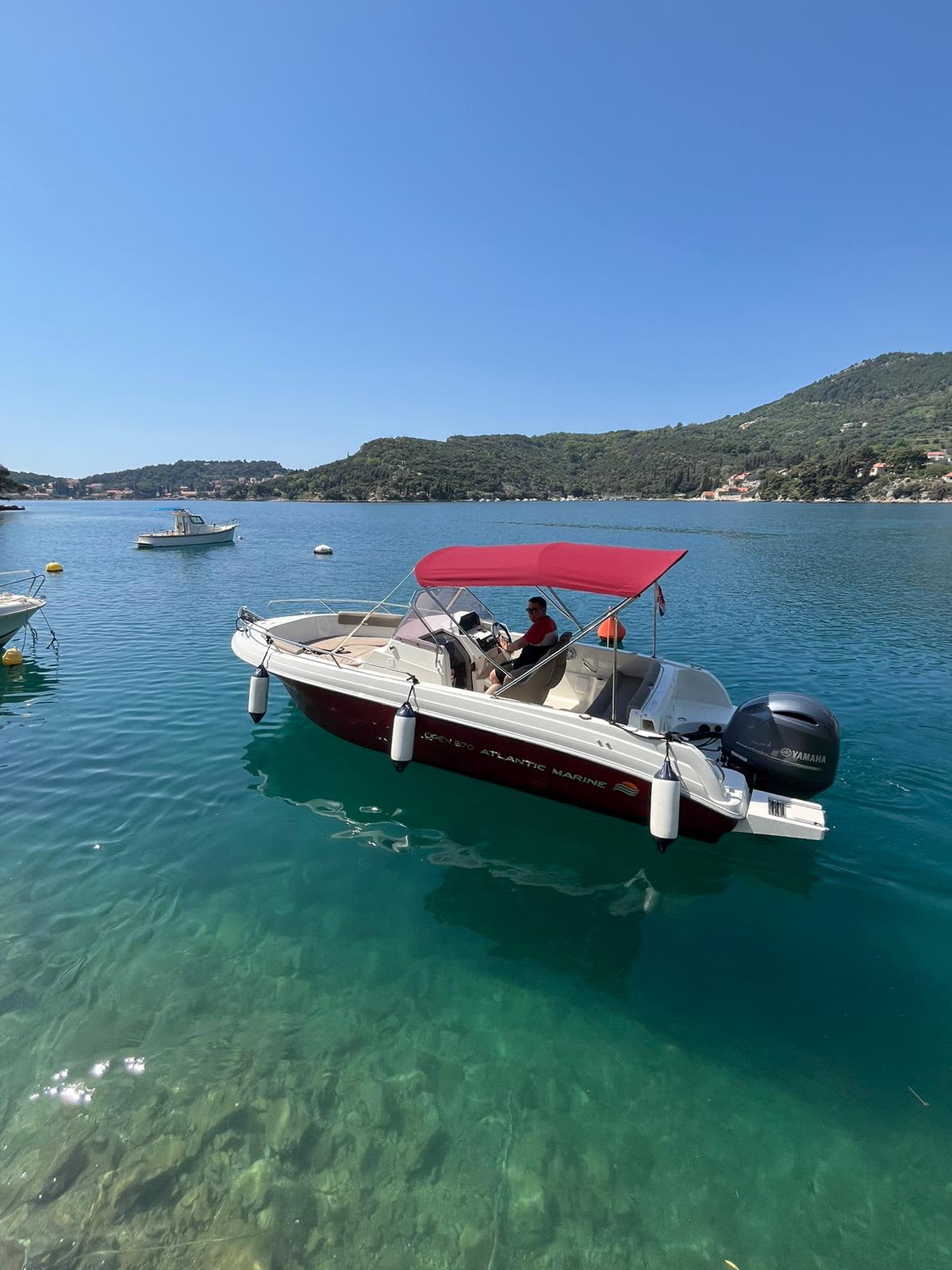 Cover of activity #7803