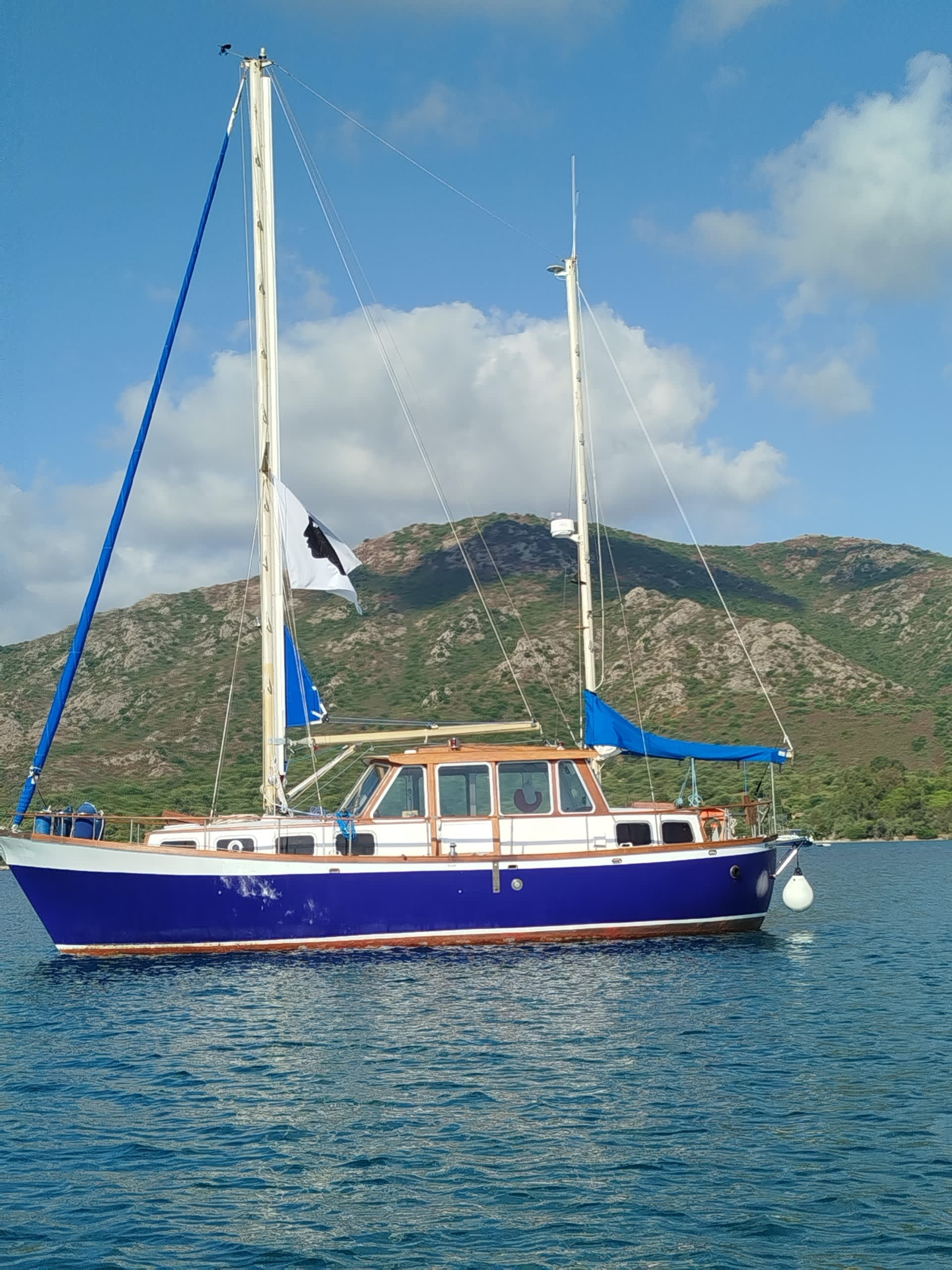 Cover of activity #24020