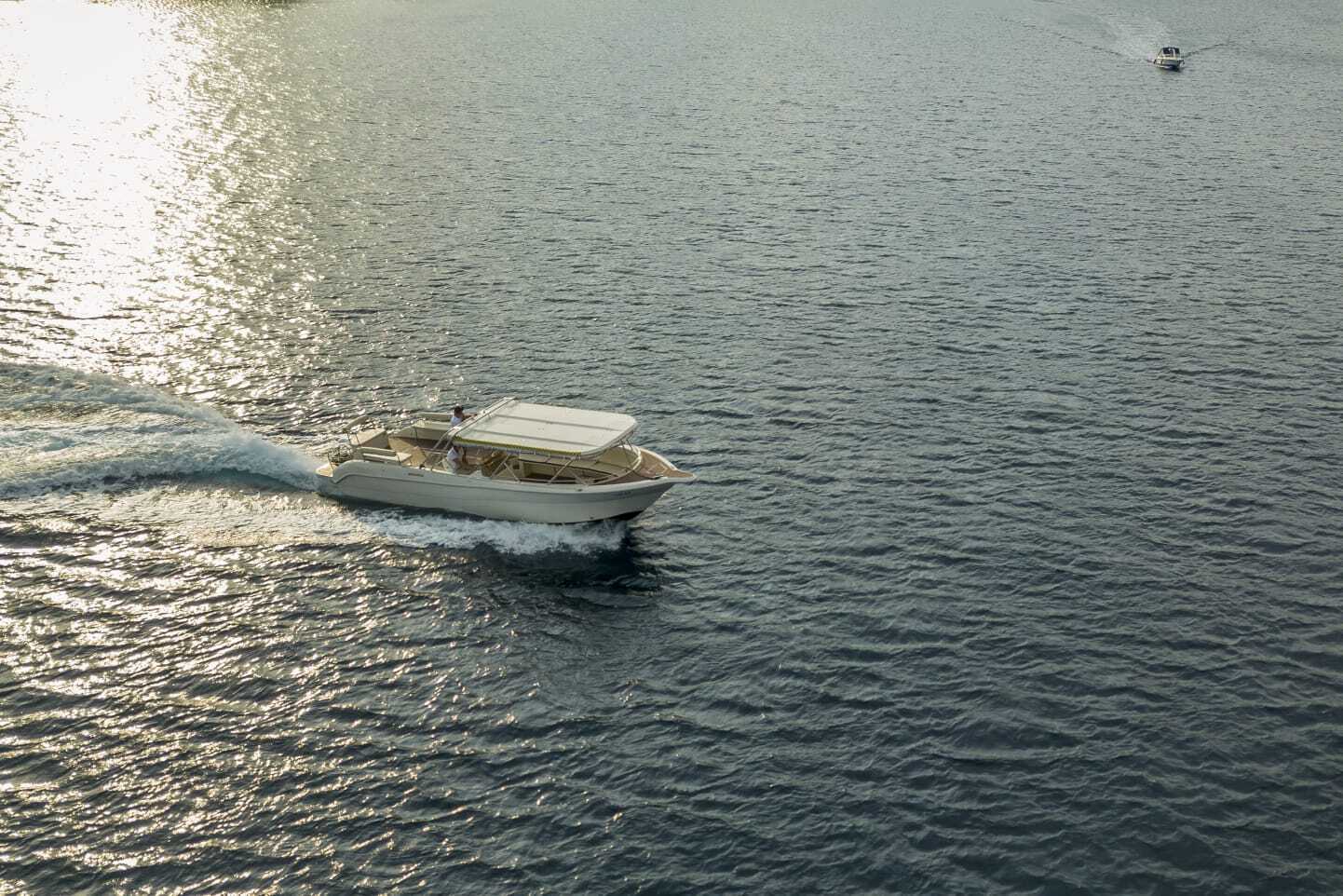 Cover of activity #8723