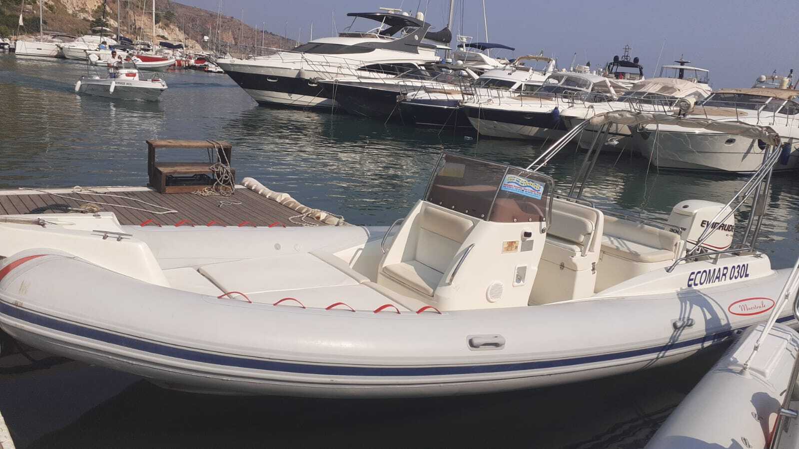 Cover of activity #24239