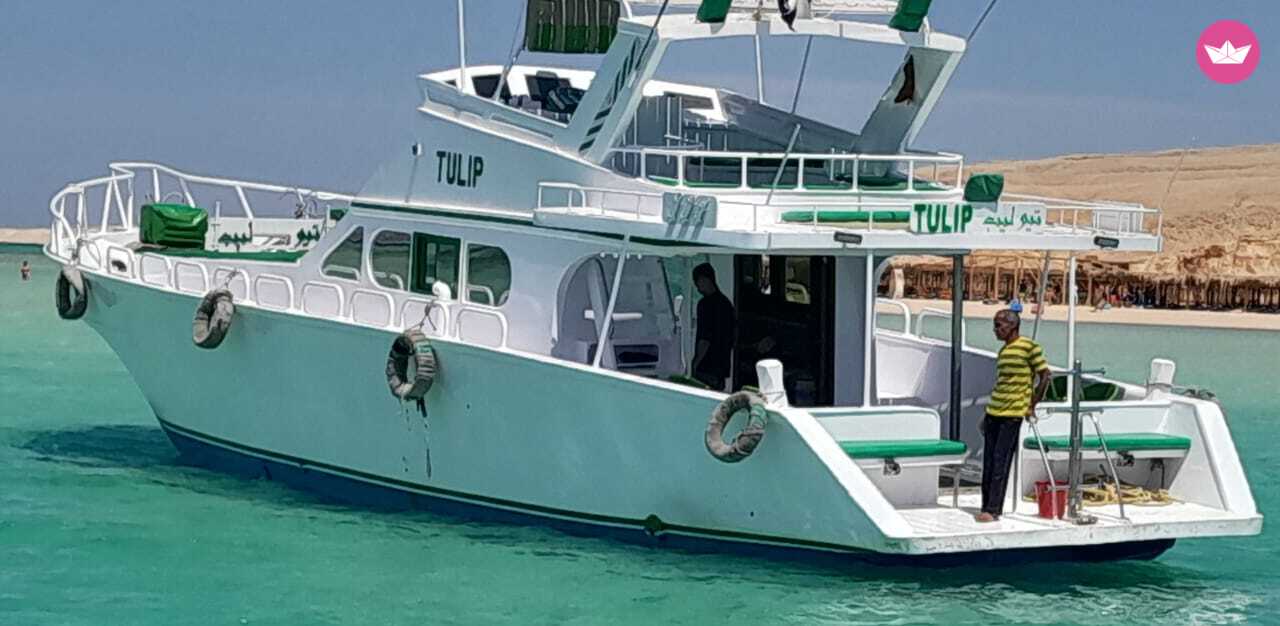 Cover of activity #8288