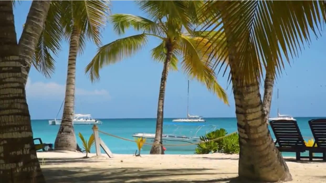 Cover of activity #28712