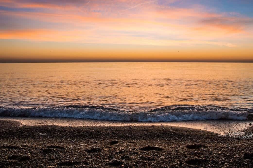 Cover of activity #11616