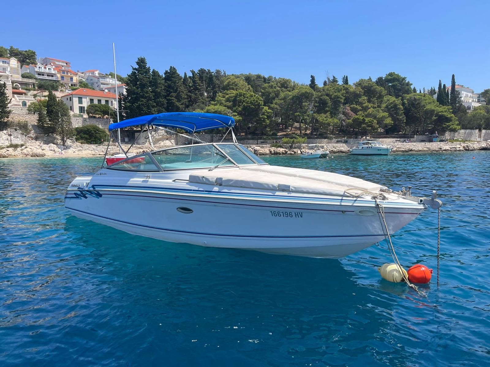 Cover of activity #12542