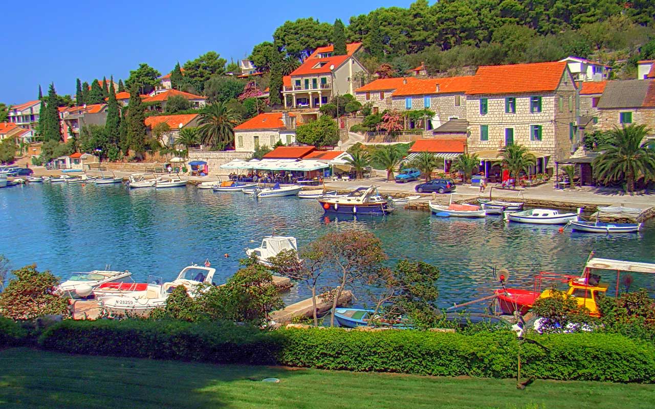 Cover of activity #15882