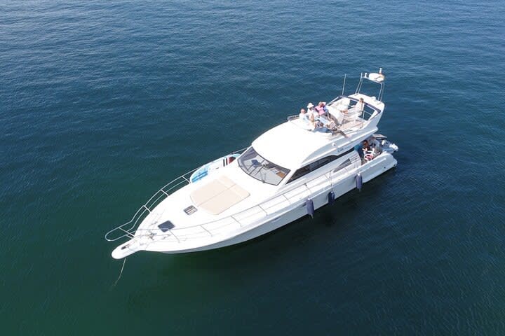 Cover of activity #24442