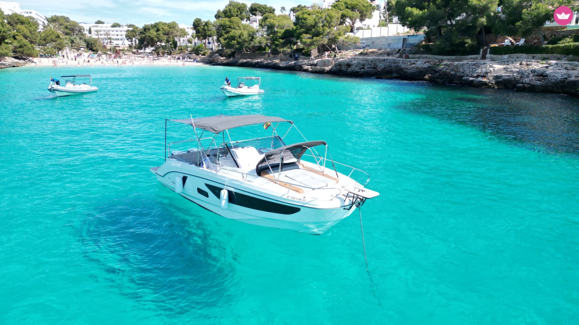 Cover of activity #19855