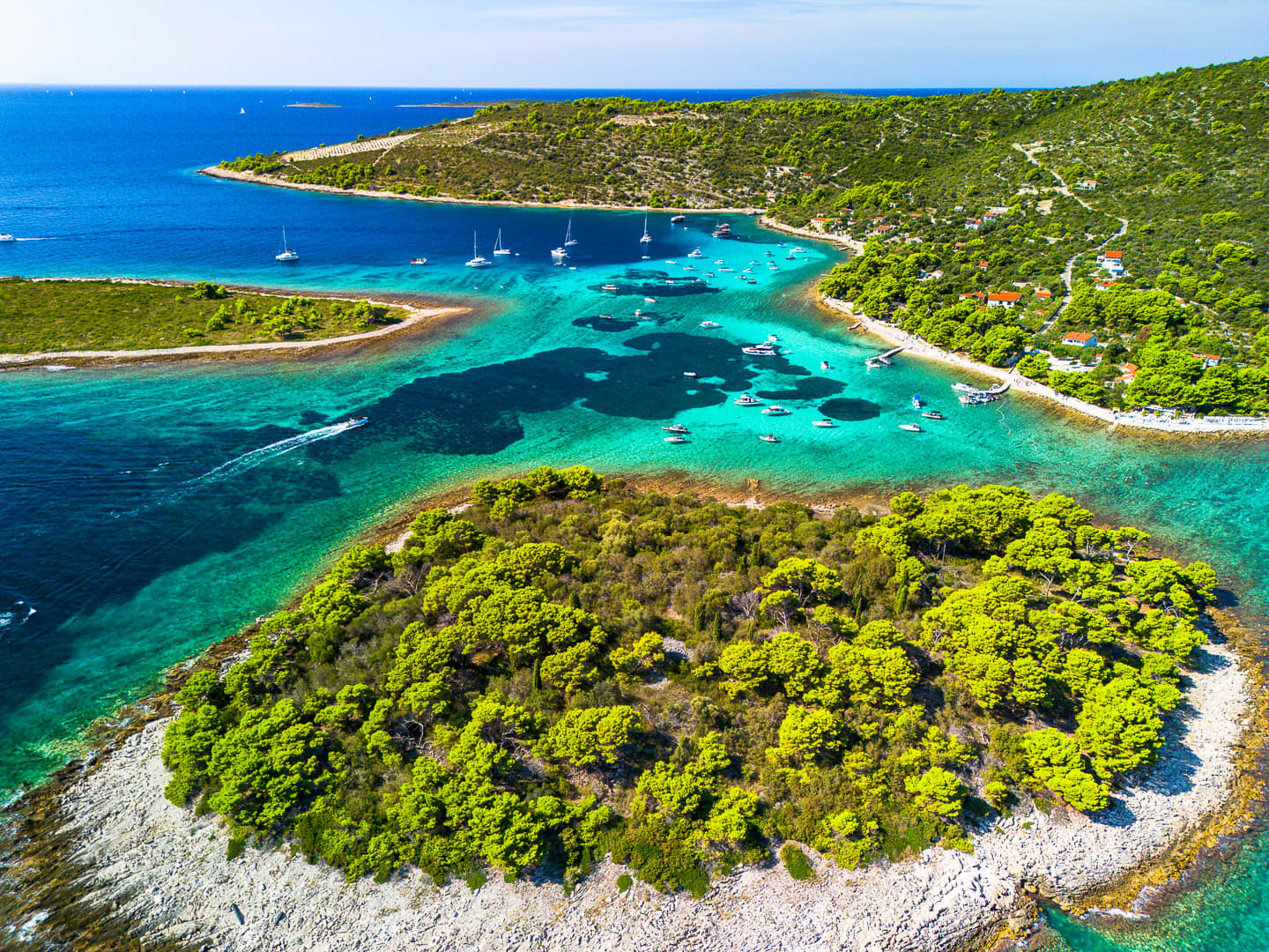 Cover of activity #10933